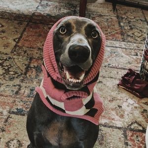 Meet your Posher, Emma kate